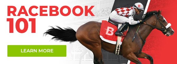 Online Horse Betting Texas